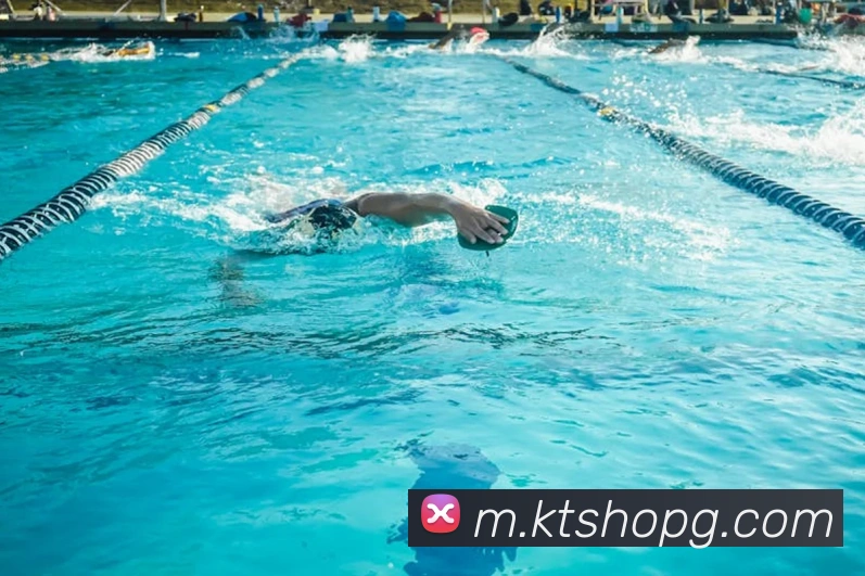 pg官网服务体系